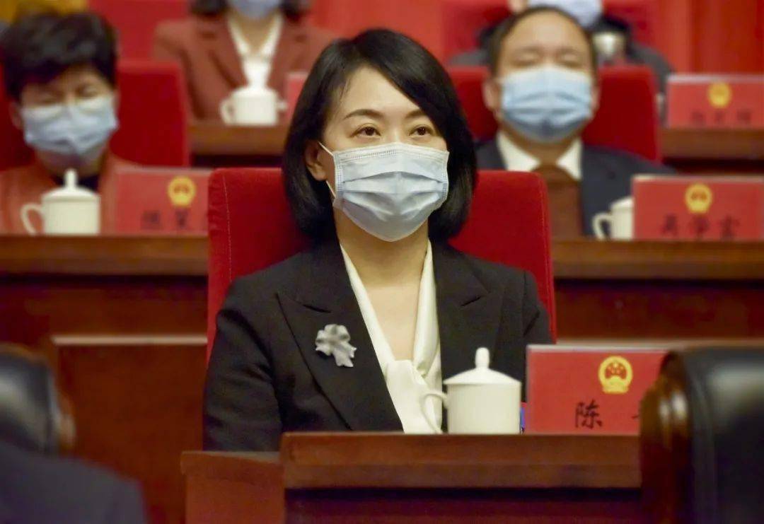 陈平当选鄂州市市长,祝健,王时文分别担任