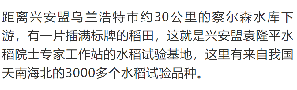 袁隆平的目光:億畝鹼稻飄香,不再是遙遠夢想_徐欽