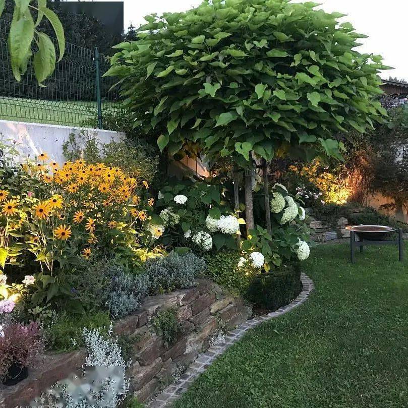 唯美的私家庭院的植物景观欣赏