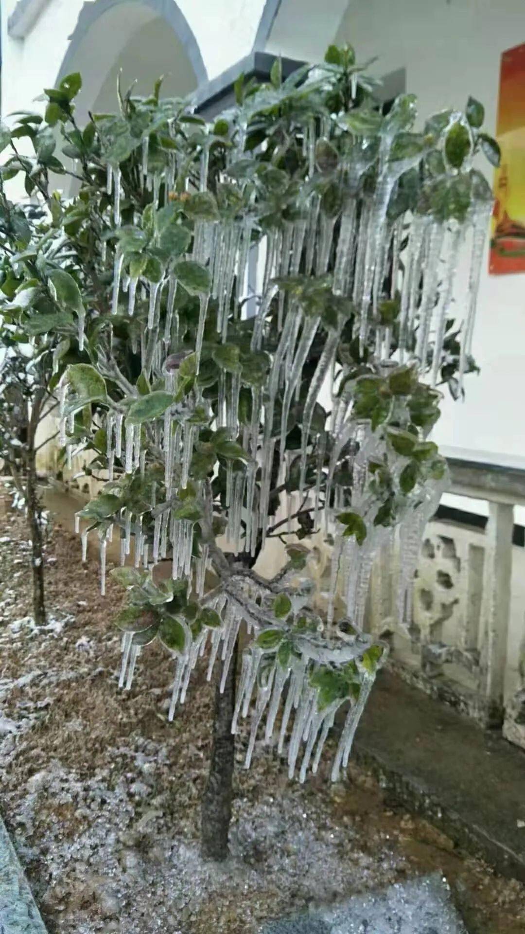 铜钹山雪景图片