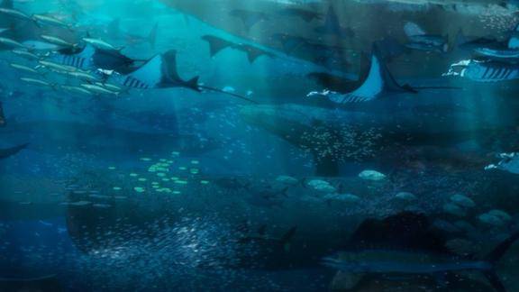 浪漫东方美学电影海兽之子曝预告