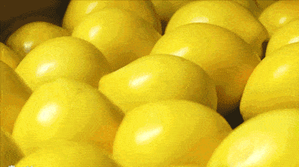 如何挑选文旦 90d57d8936ee466cb77fae4650fc0cbf.gif