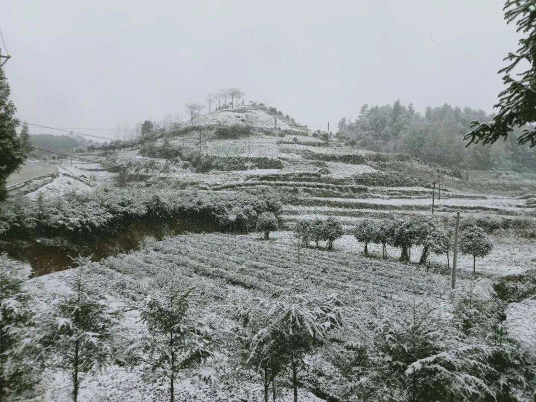 餘慶龍家天氣2345_(天氣預報15天查詢龍慶峽)