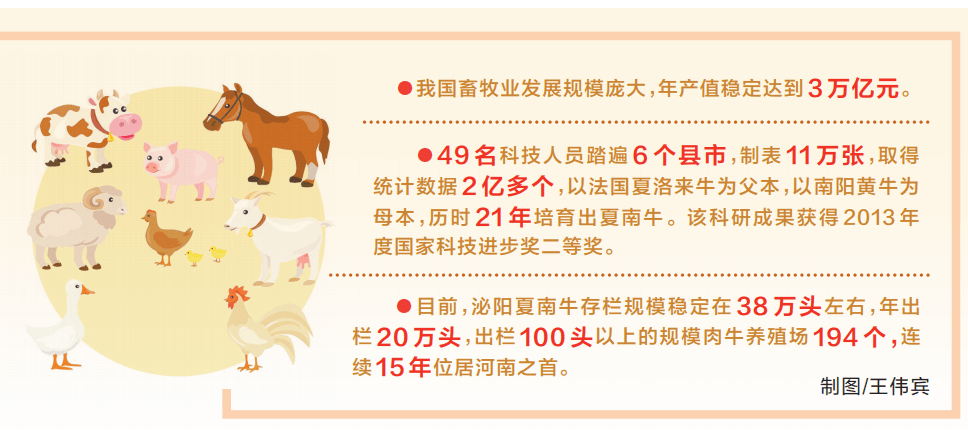 中国种 河南芯 | 解破畜禽种源困局_育种