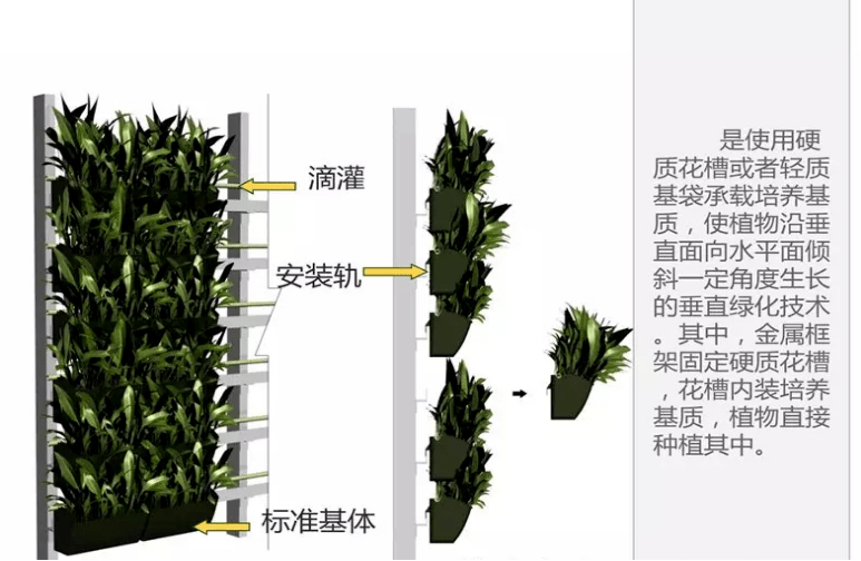 垂直绿化构造图片