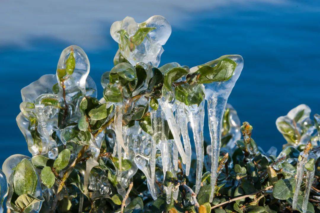 超震撼儿时的冰凌回来了太冻人