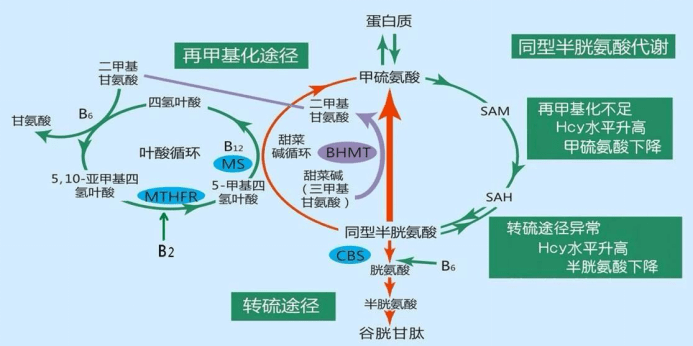 973088c212ec40dabe2983877eb6293b.png
