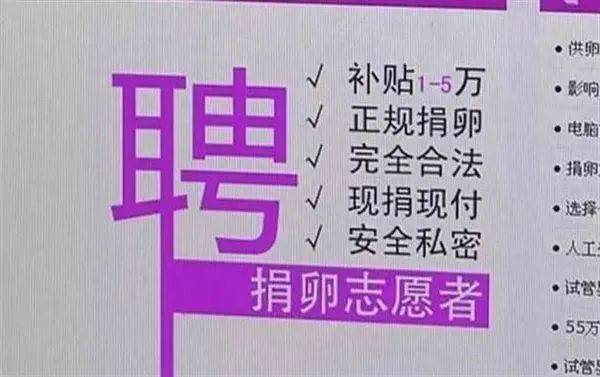 代孕产业链_代孕妈妈遭遇_马来西亚代孕价格