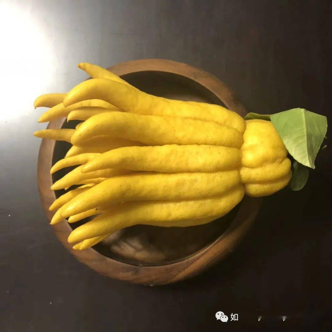 大班之班级故事原幼橼