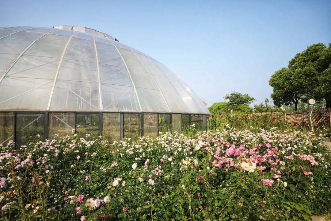 花伴湾共享农庄入选2020年苏州共享农庄!