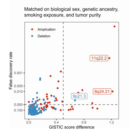 什么是基因扩增 54d0cf7a38c047b2b58c2a84991043d2.png