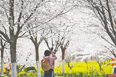 田园如画 处处小桥流水人家