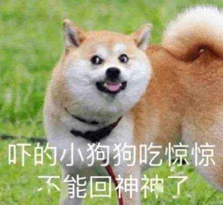a4a1514a3b194a92b49dd42ffc00f114.jpeg
