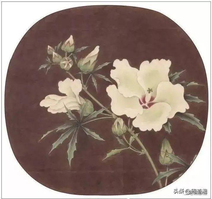 临宋系列临摹宋画秋葵图图文步骤