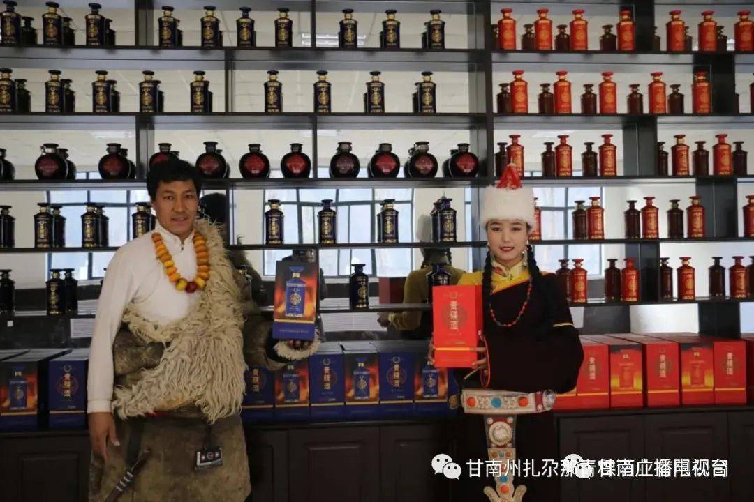 品味“五无甘南” 从一杯老青稞酒开始_客人