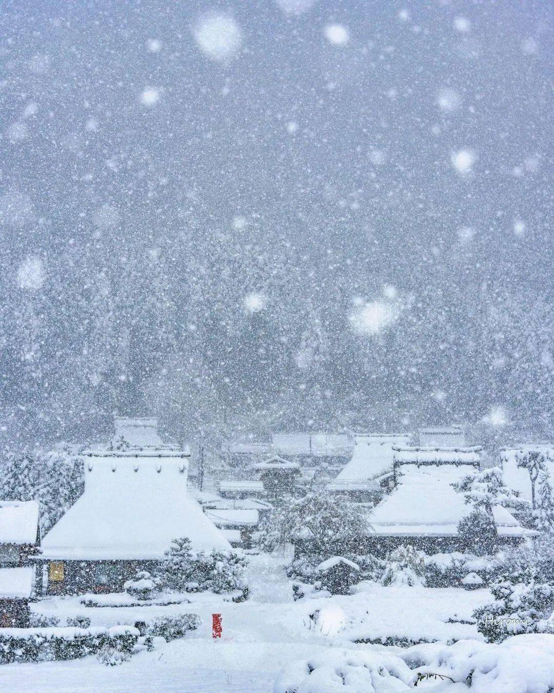 飘雪图片大全风景图片