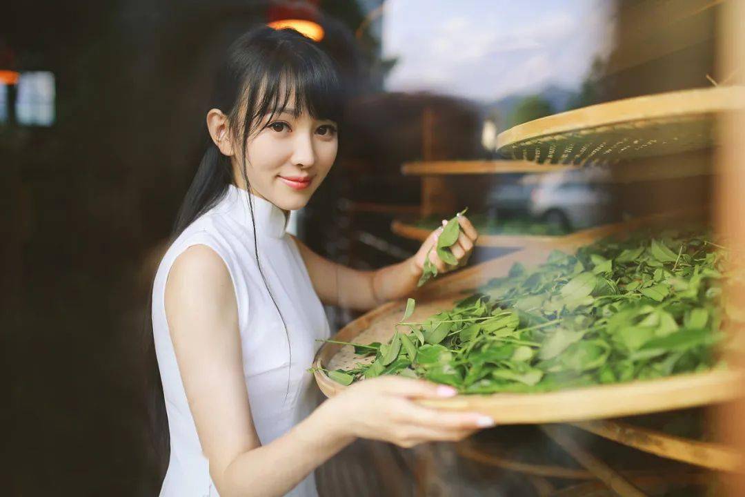 大红袍为什么被称为“茶中之王,万病之药”!