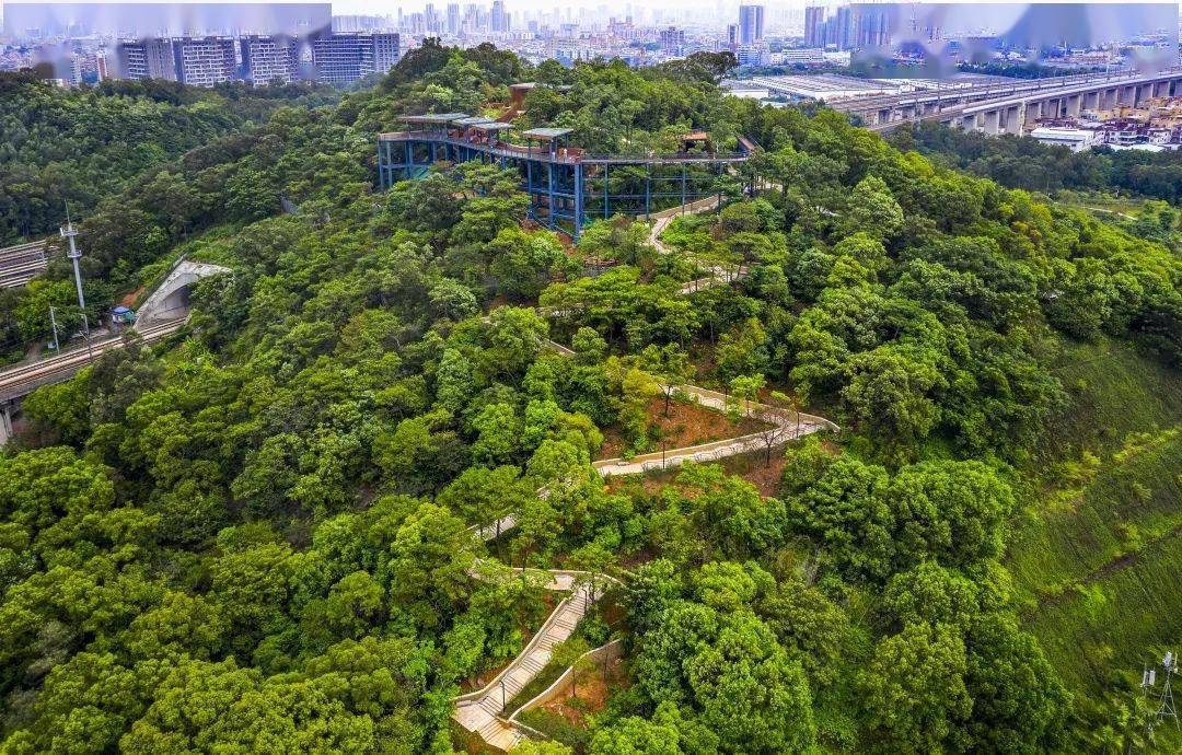 隨著三山森林公園內遊覽,休閒,運動等完善的配套設施升級,三山森林