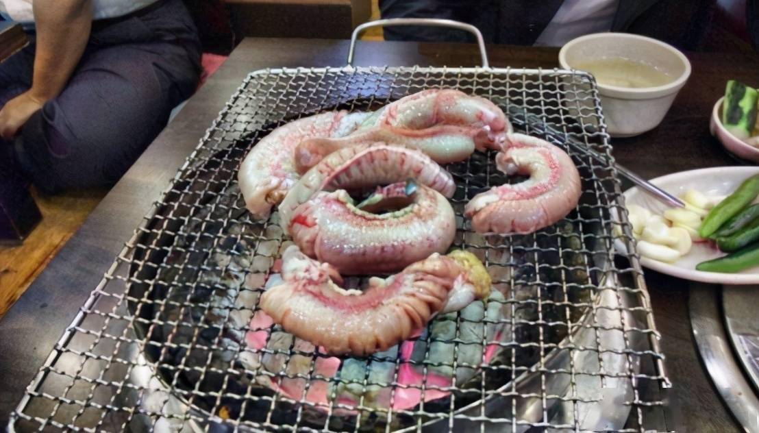 上文中我们提到过,盲鳗和七鳃鳗是近亲,而作为最原始的脊椎动物,某种