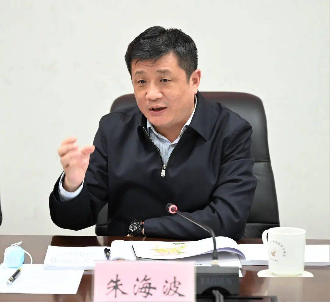 规划和成片开发方案汇报会,区领导朱海波,赵洪涛,史卫东,邓萌,朱书文