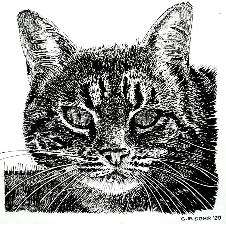 线条流畅驾驭的风景速写一笔一画体验线性的魅力多样的画风惊艳你的