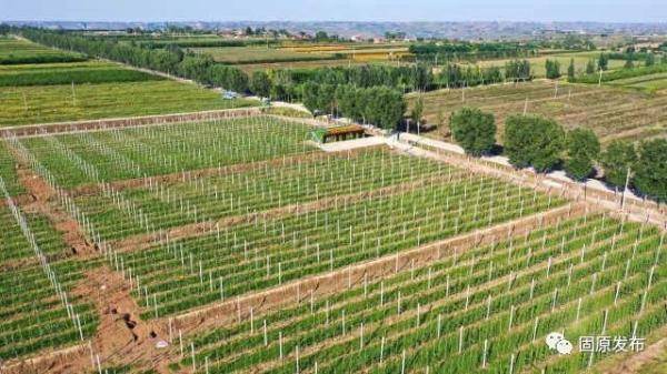 2021年固原gdp_固原五中2017年图片