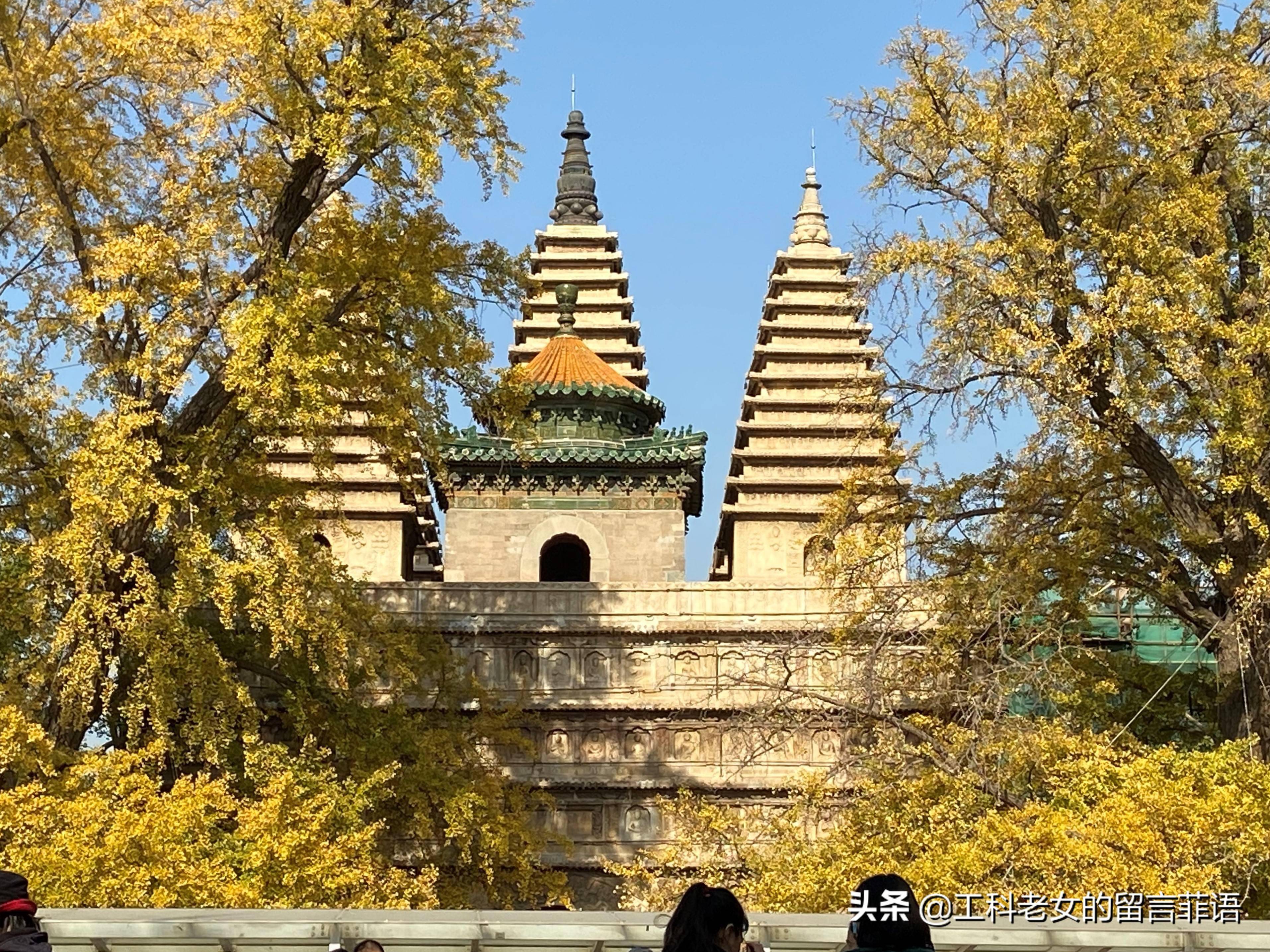 这里是北京之秋美翻了五塔寺