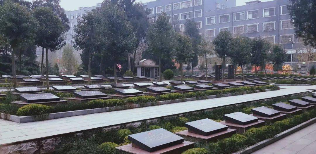 天理青春打卡泌阳烈士陵园青春打卡致敬建党百年天理青年带你打卡红色