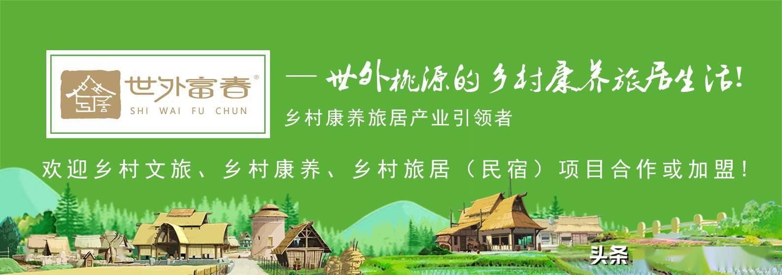 文章配图-9