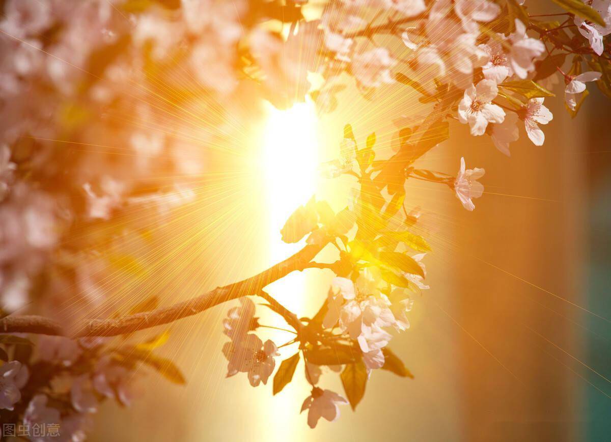 品味人生百味生活图片 740d9ad675434b65bbbbca20d269af27.jpeg