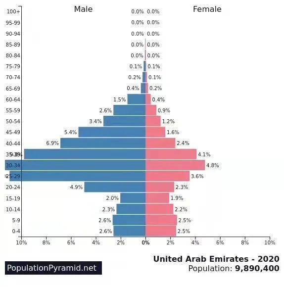 人口结构的分类_中国人口结构(3)