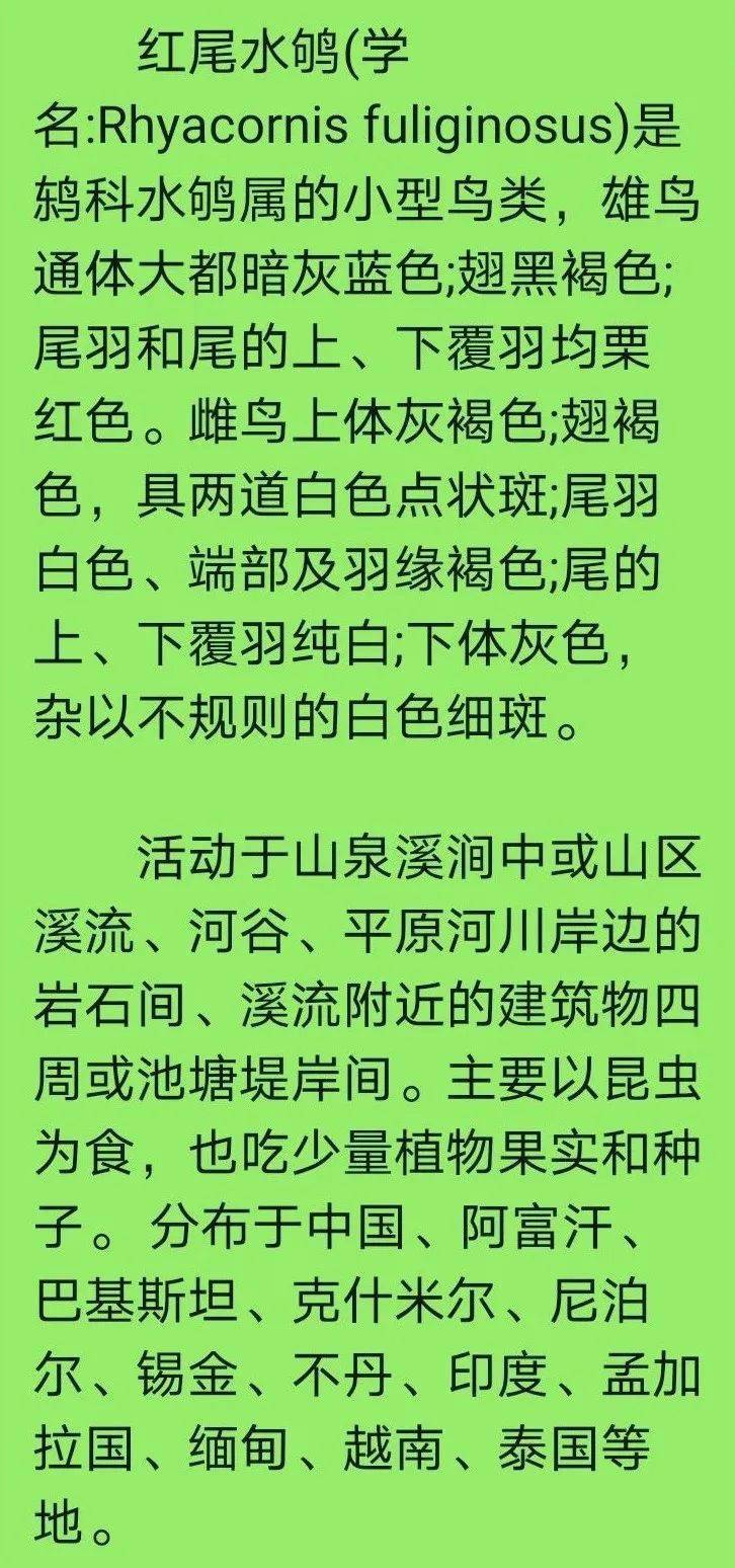 平乐简谱_平乐古镇