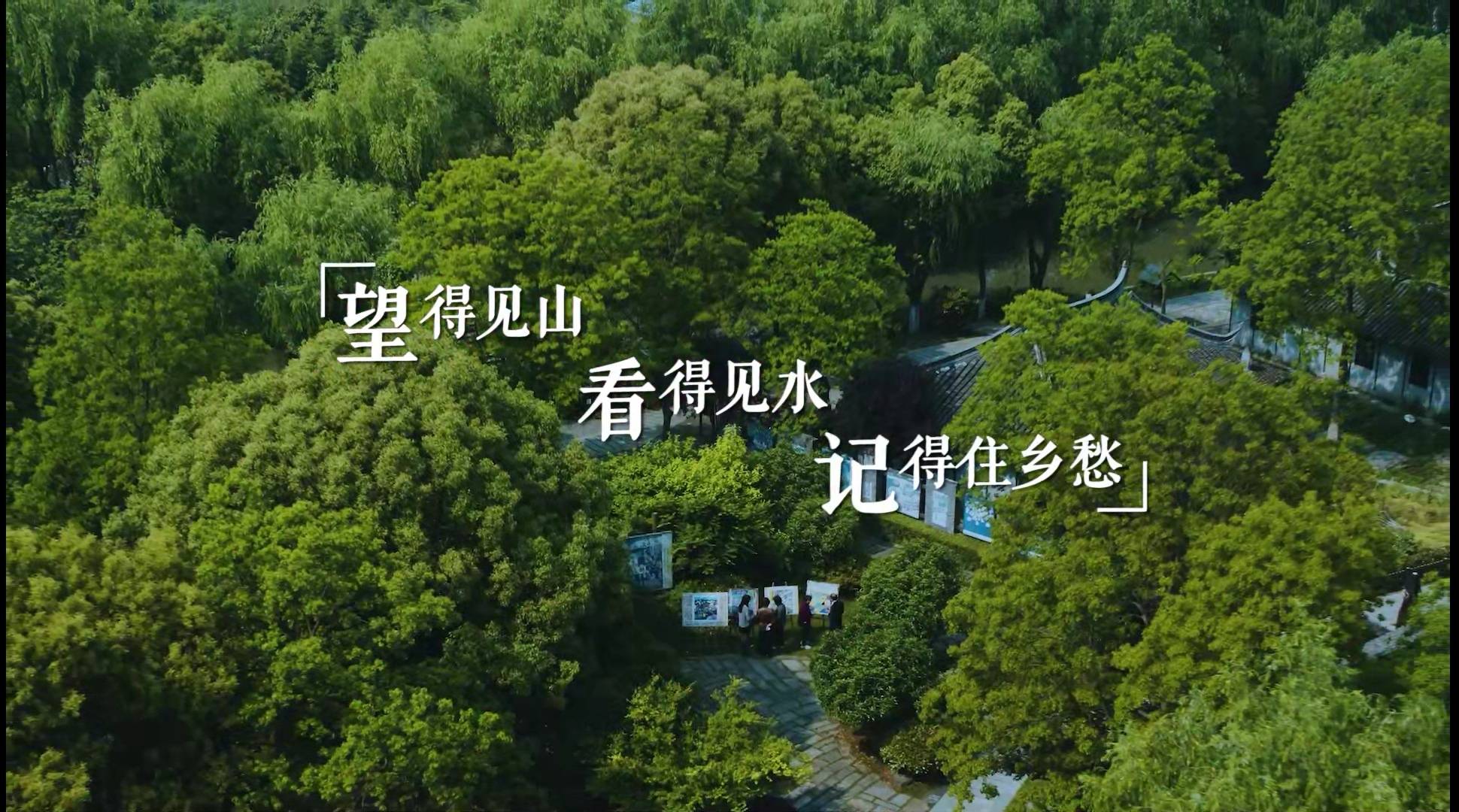 上海有哪些特色小镇？这场电视纪录片大赛把本地的诗意野趣、创意文旅拍给你看