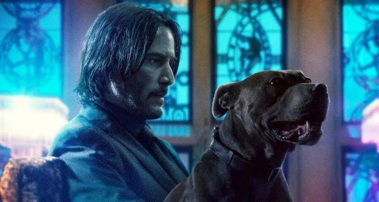 疾速追杀在线免费观看 f06a81ff256b4b37b1cda70c1ae6c1ea.jpeg