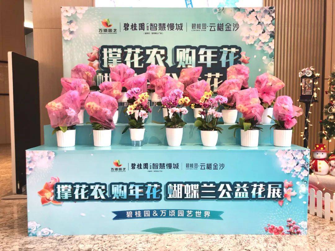 南海各镇2020年GDP_2020年东莞各镇街gdp(3)