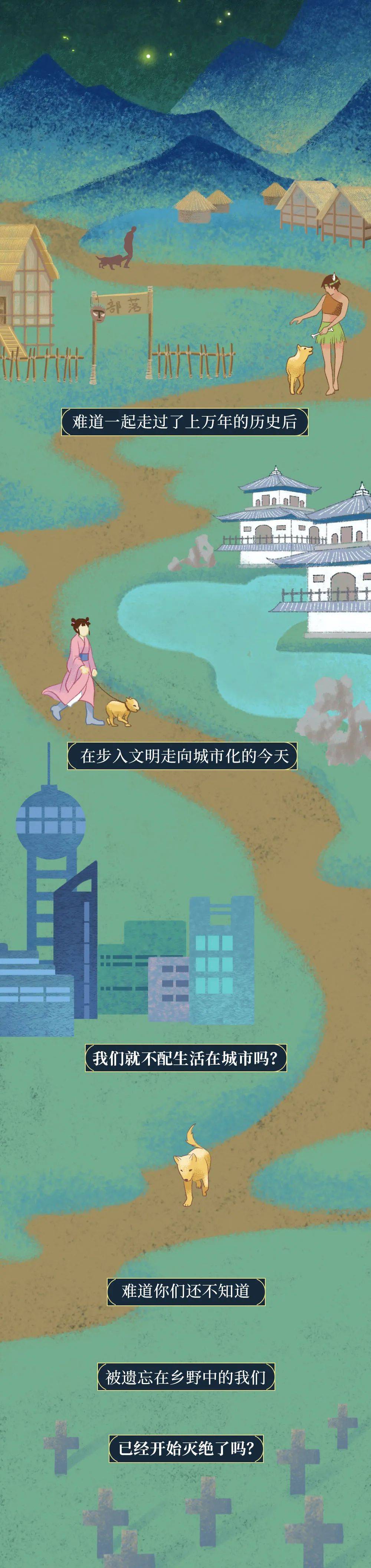 你憑什麼看不起中國土狗？ 萌趣萌寵 第15张