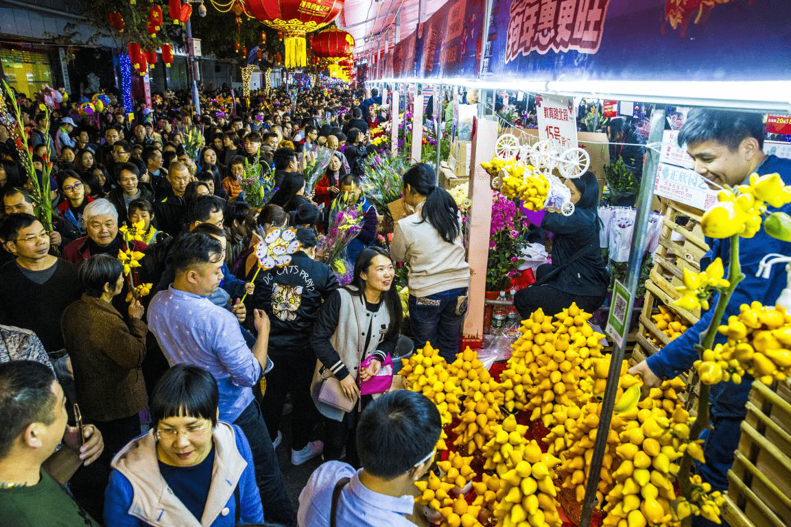 深圳疍民过年习俗(舞草龙)(省级民俗项目)