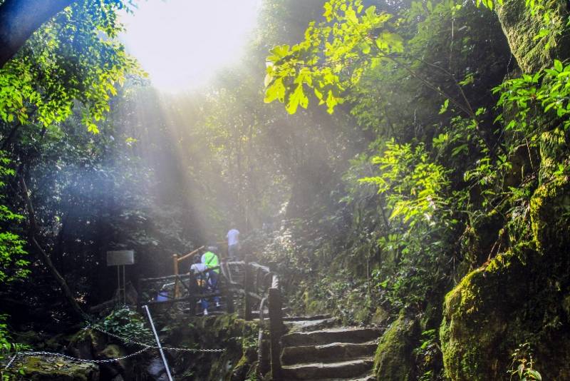 疫情影响下的广东旅游：业态已重构，自然生态景区成“网红”