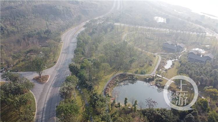 重庆城市新名片②｜广阳岛：长江风景眼 重庆生态岛