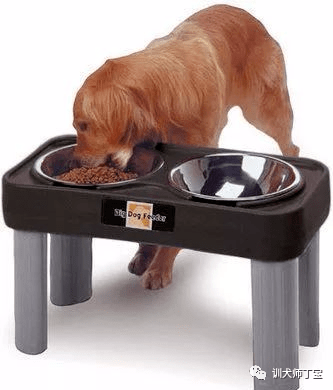 当你想养一条大型犬 请务必先考虑以下几种情况 小狗 当你想养一条大型犬 请务必先考虑以下几种情况 小狗