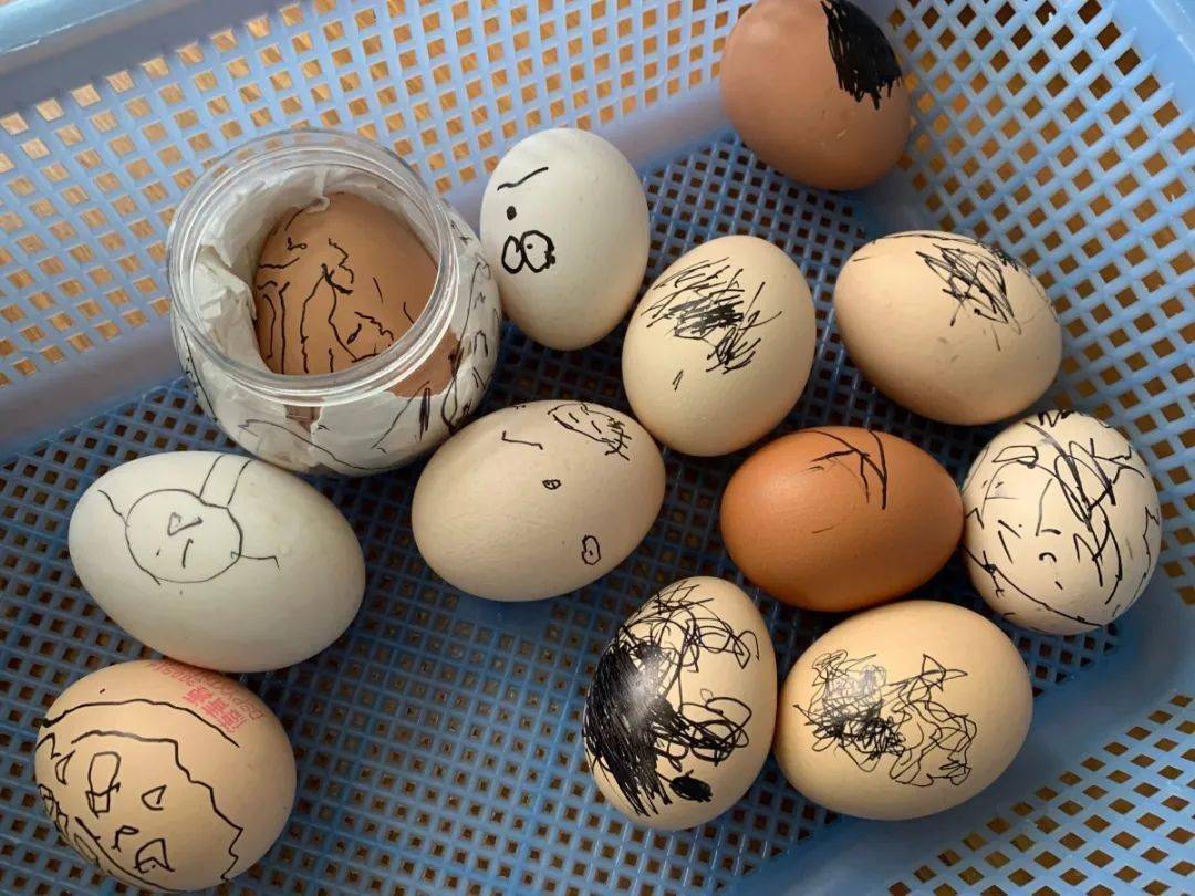 蓝印记可爱的蛋宝宝