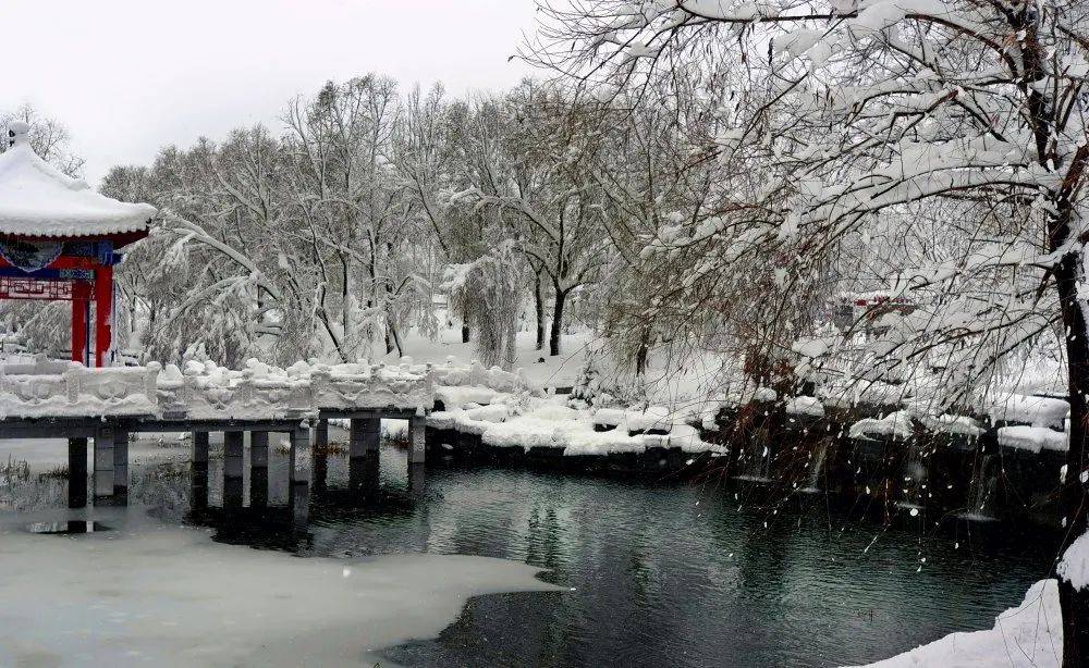 鹤岗天水湖冰雪大世界图片