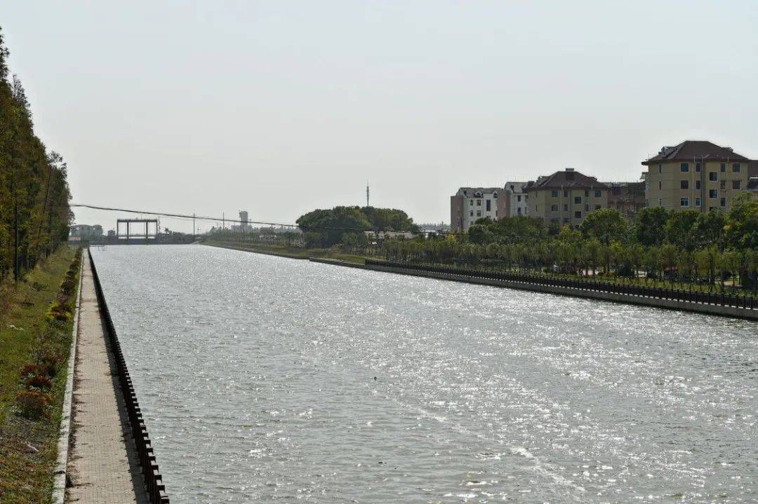 奉贤:巨潮港等五条(段)河道成功创建三星级河道_上海市