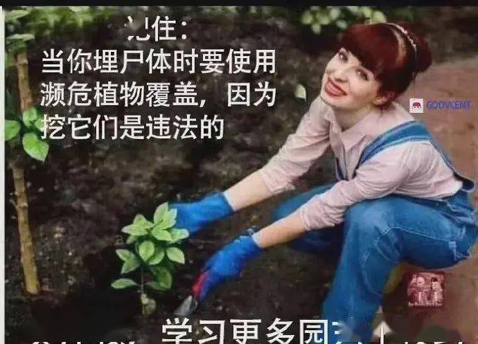 园艺小技巧太实用了吧.萝卜对草莓做了什么?男朋友视角:楚楚可怜.