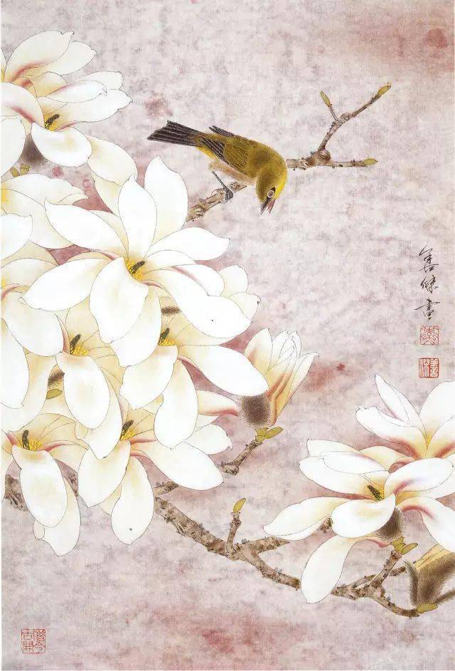 玉兰花图片工笔绘画(玉兰花图片工笔绘画大全)