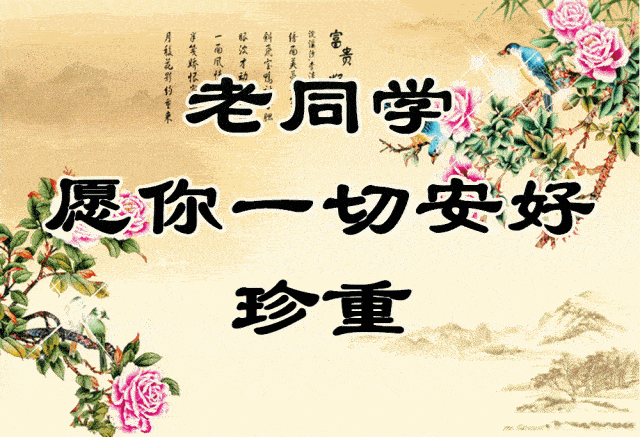今生难忘同学情送给我的老同学