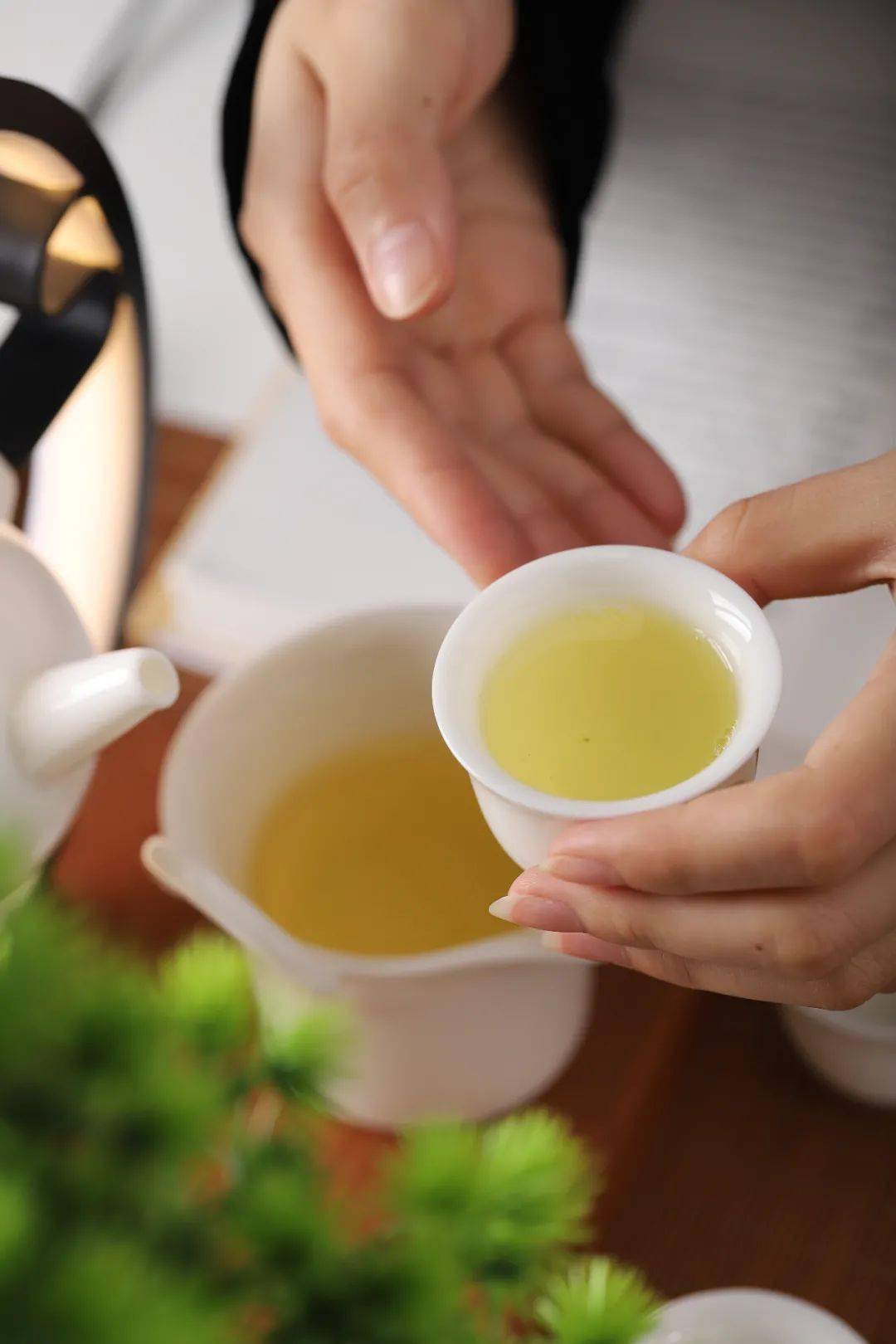 巧妙设计泡茶神器,竟还是一盏月光灯!_茶具