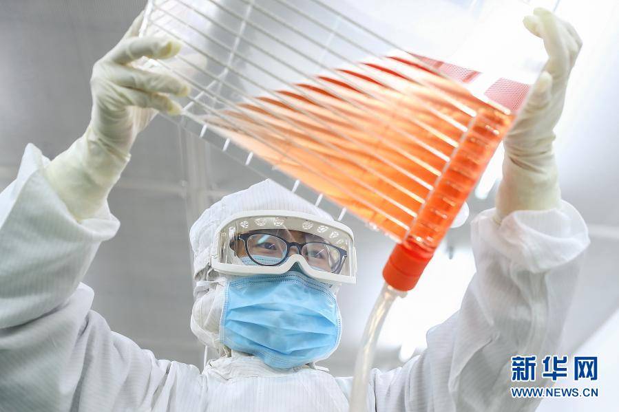 vero是哪家疫苗 fd3c9cdfb91947a6a1e6982d4657aff4.jpeg