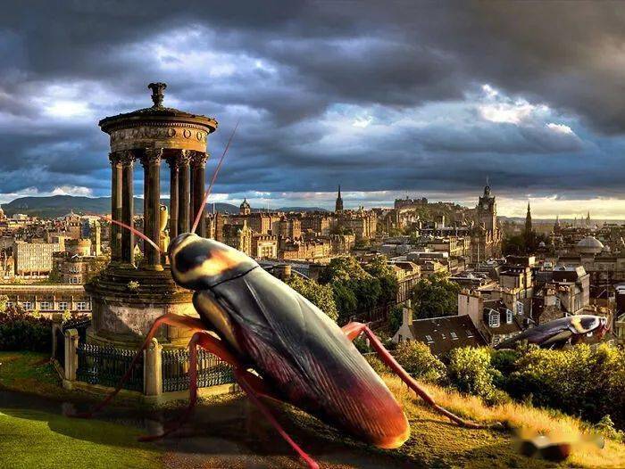 超有趣的photoshop夸张之城挑战赛作品欣赏55图