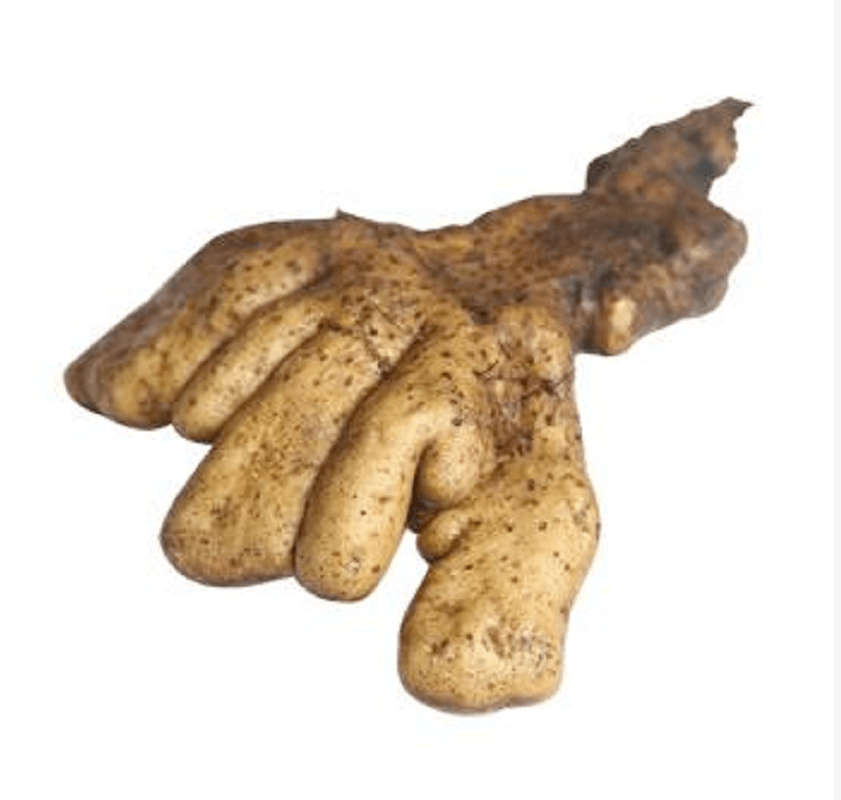 人文广济在广济老家乡愁的味道系列之十九佛手山药豆泡炖鱼头